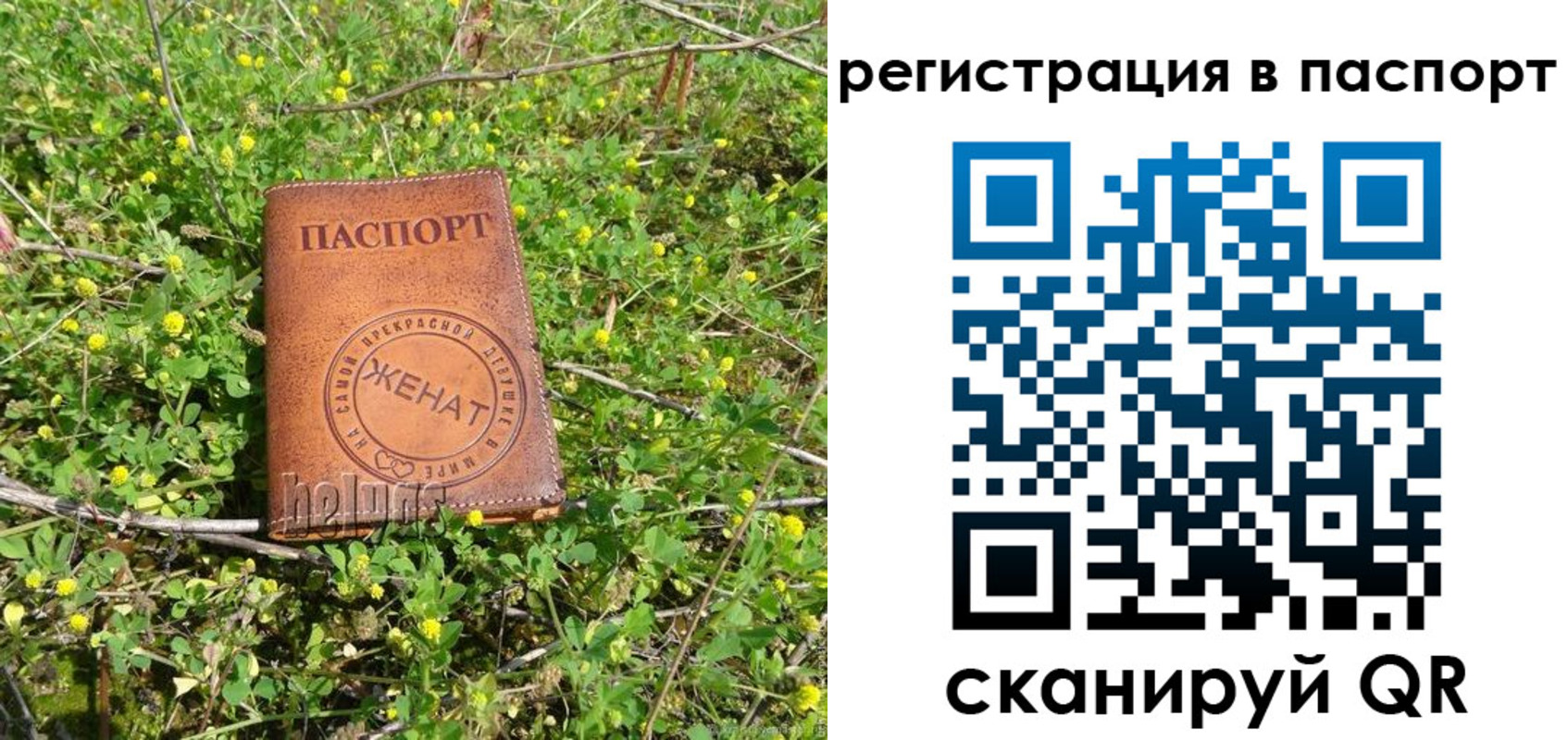 прописка законно в Медвежьегорске